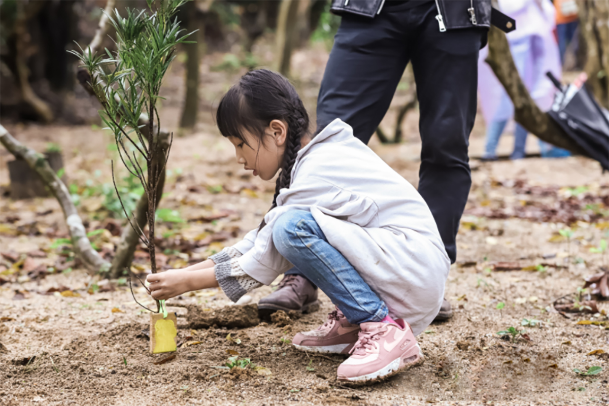 小孩植树照片图片