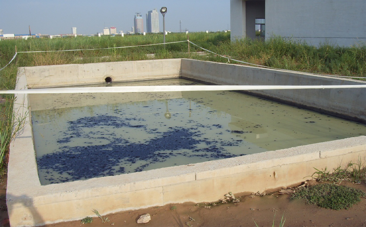 山东污泥池加盖施工前