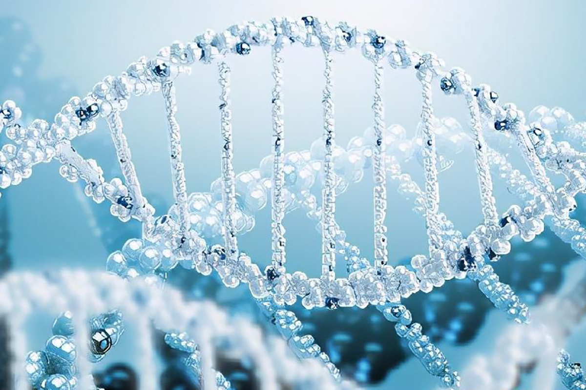 恶臭物质的分子链